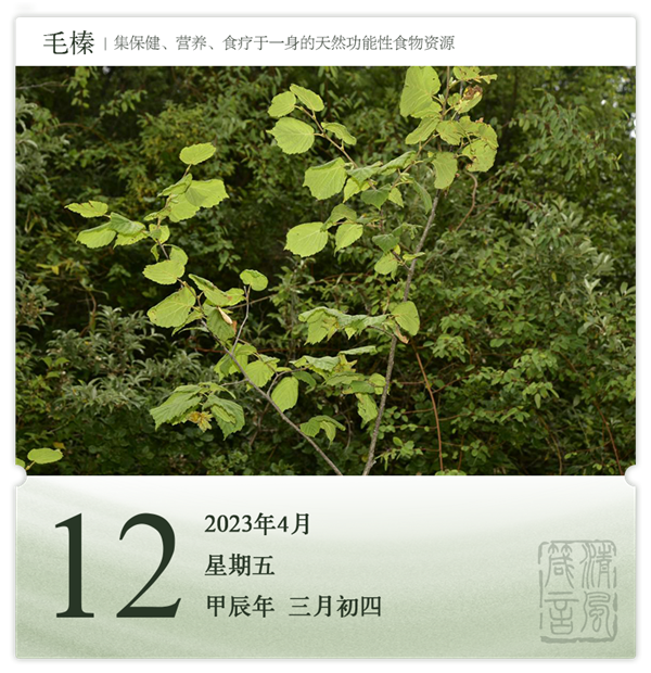 箴历日历4-12.png