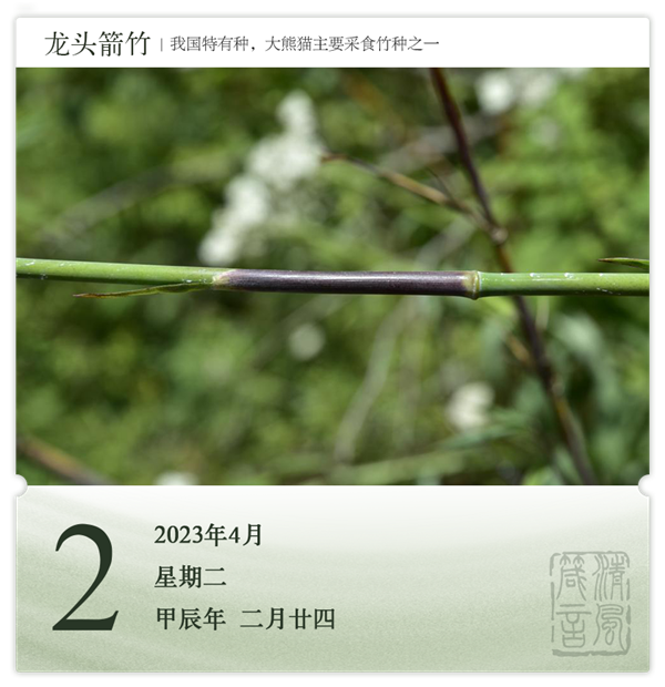 箴历日历4-2.png
