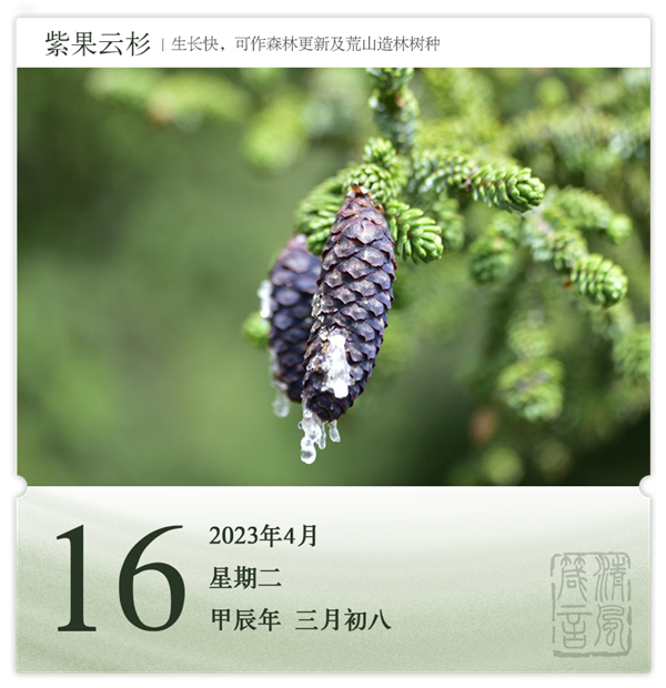 箴历日历4-16.png