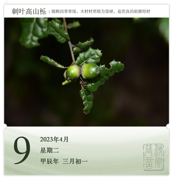 箴历日历4-9.png