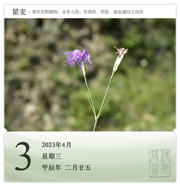 箴历日历4-3.png